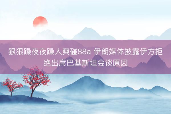 狠狠躁夜夜躁人爽碰88a 伊朗媒体披露伊方拒绝出席巴基斯坦会谈原因