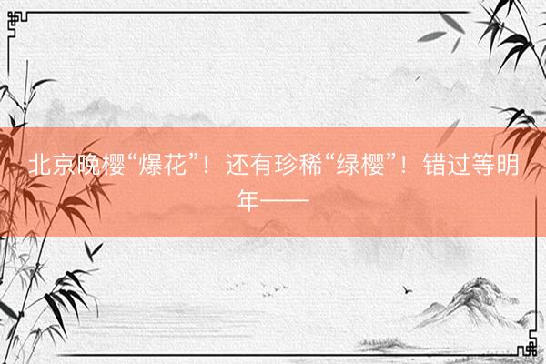 北京晚樱“爆花”！还有珍稀“绿樱”！错过等明年——