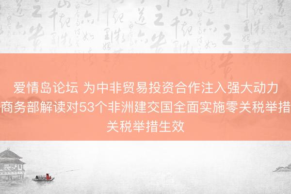 爱情岛论坛 为中非贸易投资合作注入强大动力——商务部解读对53个非洲建交国全面实施零关税举措生效