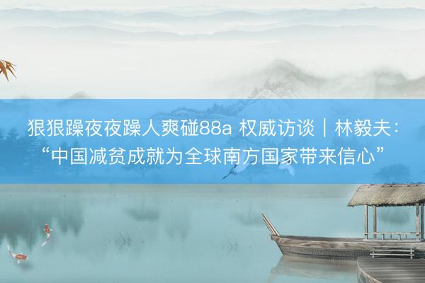 狠狠躁夜夜躁人爽碰88a 权威访谈｜林毅夫：“中国减贫成就为全球南方国家带来信心”