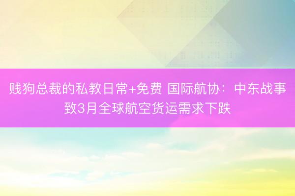 贱狗总裁的私教日常+免费 国际航协：中东战事致3月全球航空货运需求下跌