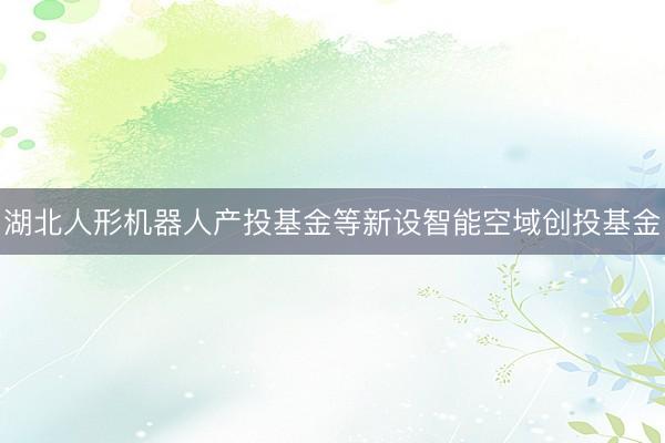 湖北人形机器人产投基金等新设智能空域创投基金