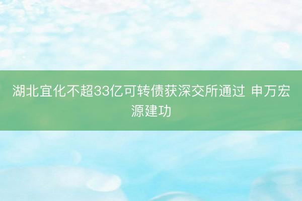 湖北宜化不超33亿可转债获深交所通过 申万宏源建功
