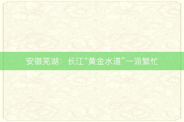 安徽芜湖：长江“黄金水道”一派繁忙