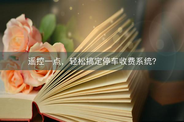 遥控一点，轻松搞定停车收费系统？