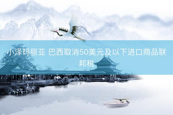 小泽玛丽亚 巴西取消50美元及以下进口商品联邦税