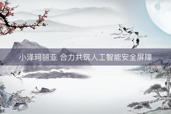 小泽玛丽亚 合力共筑人工智能安全屏障