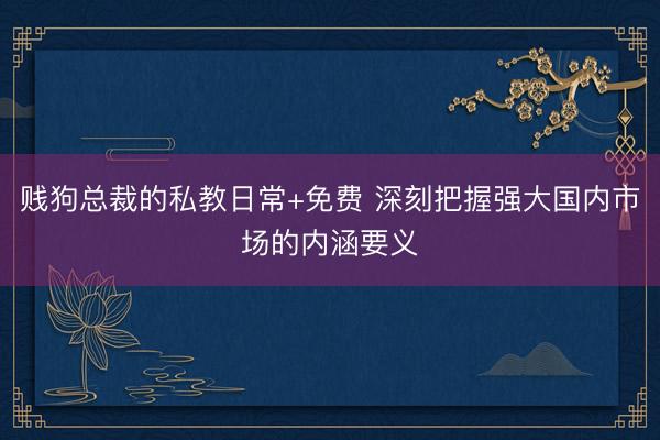 贱狗总裁的私教日常+免费 深刻把握强大国内市场的内涵要义