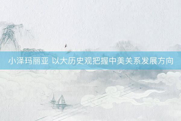 小泽玛丽亚 以大历史观把握中美关系发展方向