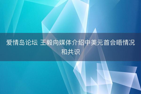 爱情岛论坛 王毅向媒体介绍中美元首会晤情况和共识