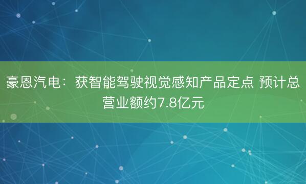 豪恩汽电:获智能驾驶视觉感知产品定点 预计总营业额约7.8亿元