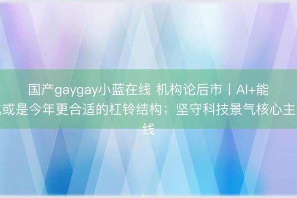 国产gaygay小蓝在线 机构论后市丨AI+能化或是今年更合适的杠铃结构；坚守科技景气核心主线