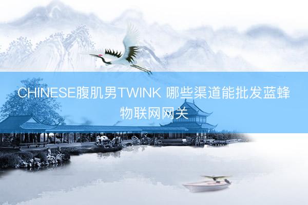 CHINESE腹肌男TWINK 哪些渠道能批发蓝蜂物联网网关