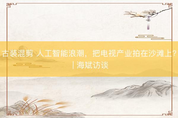 古装混剪 人工智能浪潮，把电视产业拍在沙滩上？ | 海斌访谈