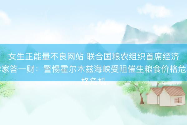 女生正能量不良网站 联合国粮农组织首席经济学家答一财:警惕霍尔木兹海峡受阻催生粮食价格危机