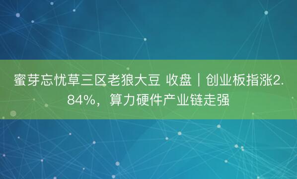 蜜芽忘忧草三区老狼大豆 收盘｜创业板指涨2.84%，算力硬件产业链走强