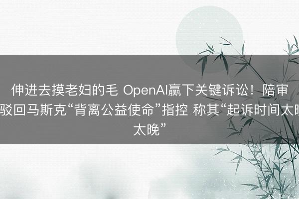 伸进去摸老妇的毛 OpenAI赢下关键诉讼！陪审团驳回马斯克“背离公益使命”指控 称其“起诉时间太晚”