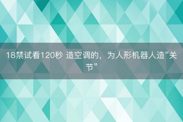 18禁试看120秒 造空调的,为人形机器人造“关节”