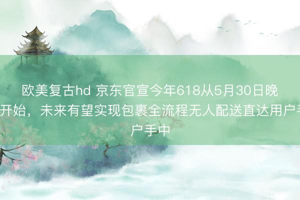 欧美复古hd 京东官宣今年618从5月30日晚8点开始，未来有望实现包裹全流程无人配送直达用户手中