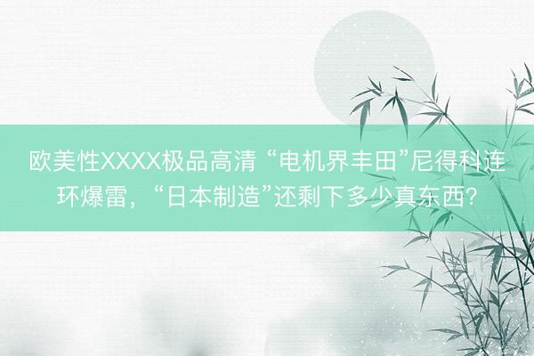 欧美性XXXX极品高清 “电机界丰田”尼得科连环爆雷，“日本制造”还剩下多少真东西？