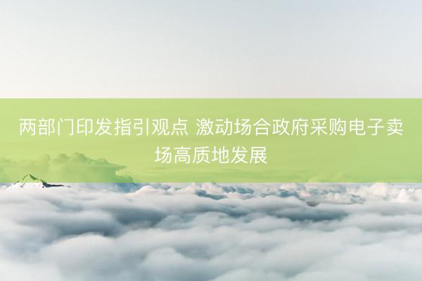 两部门印发指引观点 激动场合政府采购电子卖场高质地发展