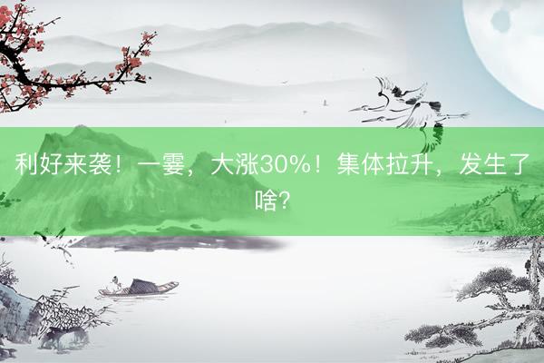 利好来袭!一霎,大涨30%!集体拉升,发生了啥?