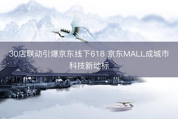30店联动引爆京东线下618 京东MALL成城市科技新地标