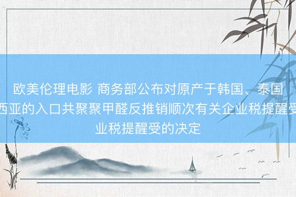欧美伦理电影 商务部公布对原产于韩国、泰国和马来西亚的入口共聚聚甲醛反推销顺次有关企业税提醒受的决定
