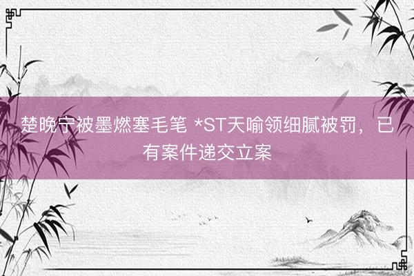楚晚宁被墨燃塞毛笔 *ST天喻领细腻被罚，已有案件递交立案