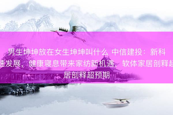 男生坤坤放在女生坤坤叫什么 中信建投：新科技快速发展，健康寝息带来家纺新机遇，软体家居剖释超预期
