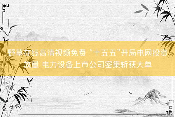 野草在线高清视频免费 “十五五”开局电网投资放量 电力设备上市公司密集斩获大单