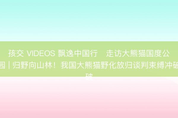 孩交 VIDEOS 飘逸中国行・走访大熊猫国度公园 | 归野向山林!我国大熊猫野化放归谈判束缚冲破