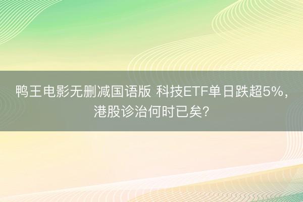 鸭王电影无删减国语版 科技ETF单日跌超5%，港股诊治何时已矣？