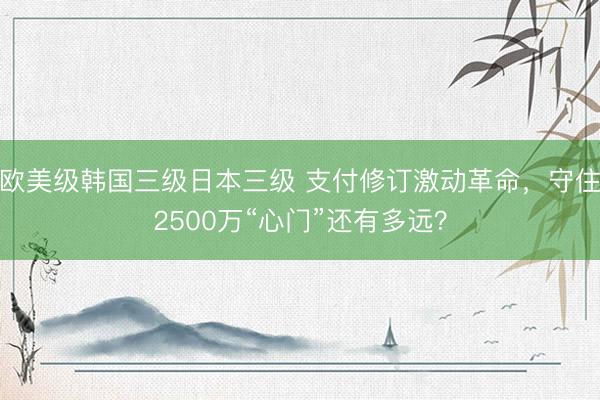欧美级韩国三级日本三级 支付修订激动革命,守住2500万“心门”还有多远?