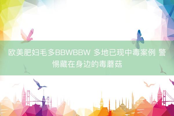 欧美肥妇毛多BBWBBW 多地已现中毒案例 警惕藏在身边的毒蘑菇