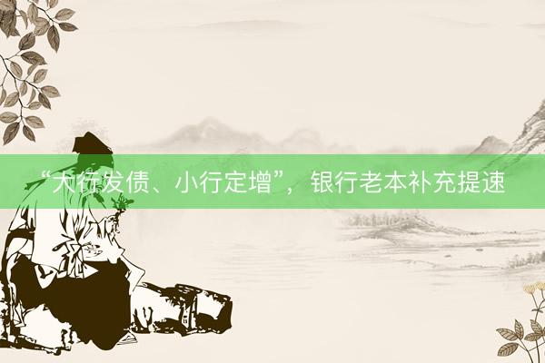“大行发债、小行定增”，银行老本补充提速