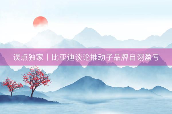 误点独家丨比亚迪谈论推动子品牌自诩盈亏