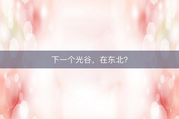 下一个光谷，在东北？